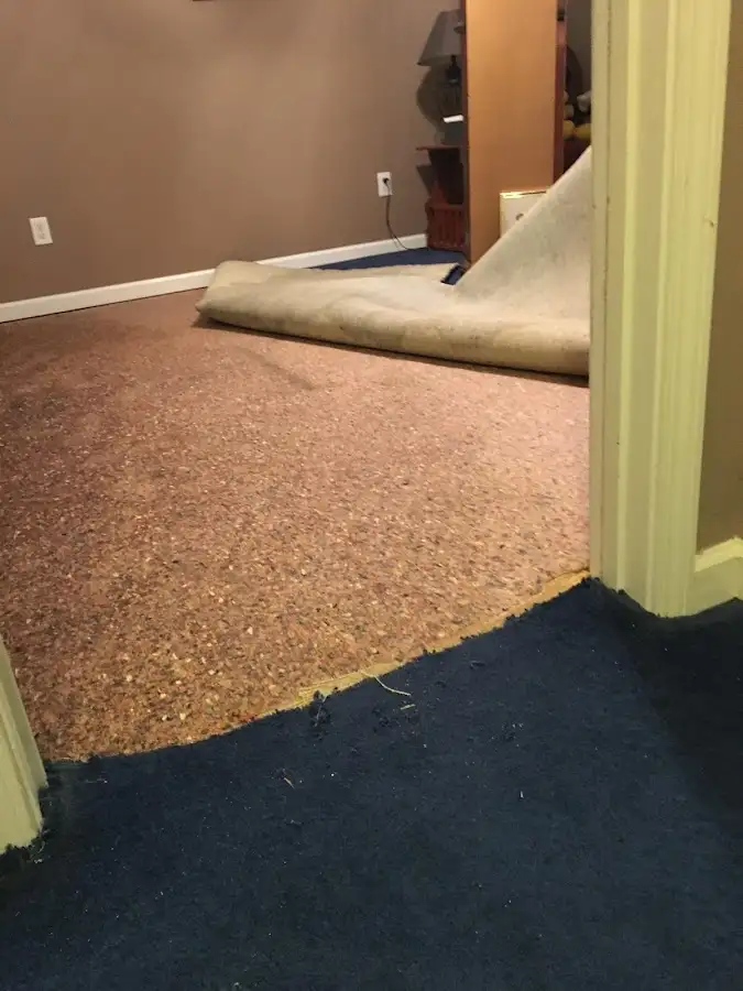 Carpet pad removal revealing water damage during Water Mitigation Services in Addison